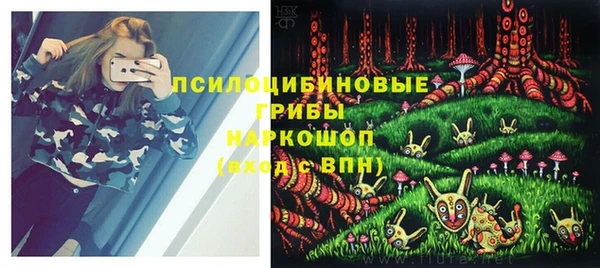 ГАЛЛЮЦИНОГЕННЫЕ ГРИБЫ Алзамай