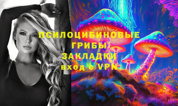 ГАЛЛЮЦИНОГЕННЫЕ ГРИБЫ Алзамай