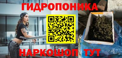шишки Ликино-Дулёво