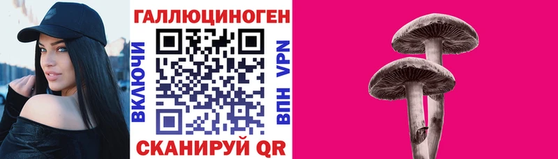 Галлюциногенные грибы Magic Shrooms  купить   Десногорск 