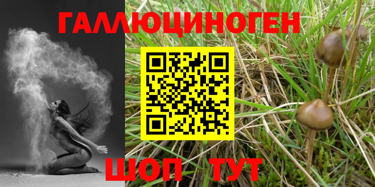 Галлюциногенные грибы Magic Shrooms Десногорск