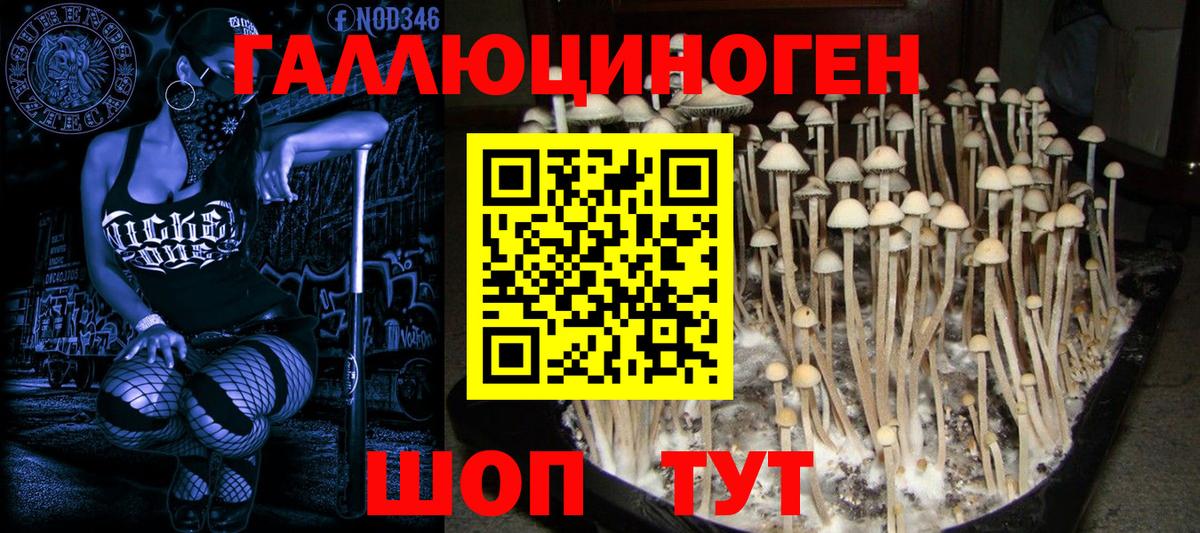 Десногорск  Псилоцибиновые грибы GOLDEN TEACHER  Вход с VPN 
